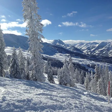 Lisa Schweiger Apartament Kirchberg in Tirol