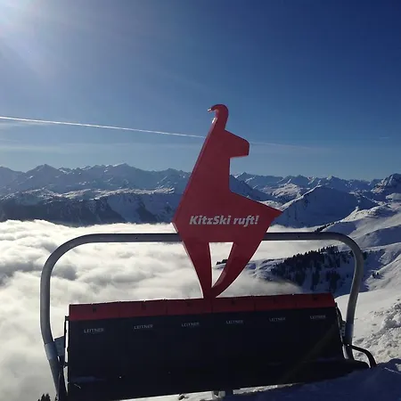 Lisa Schweiger Apartman