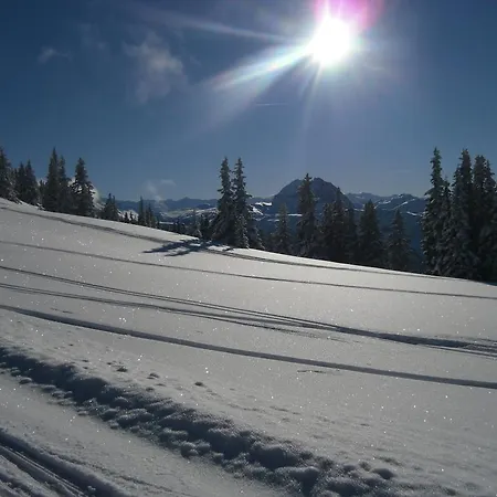 Lisa Schweiger Apartament *