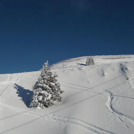 Lisa Schweiger Apartament *