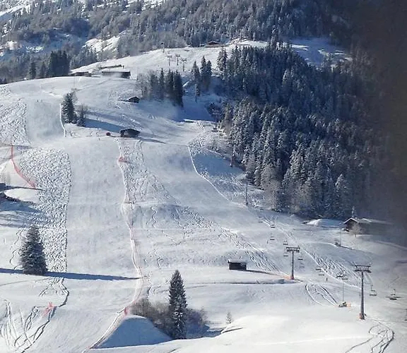 Lisa Schweiger Apartment Kirchberg in Tirol