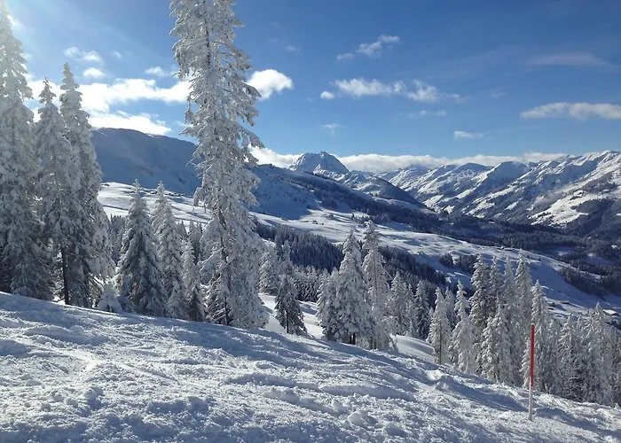 Lisa Schweiger Apartment Kirchberg in Tirol