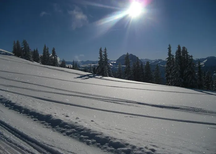 Lisa Schweiger Apartment *