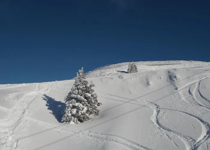 Lisa Schweiger Apartment *