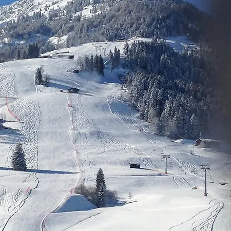 Lisa Schweiger Apartment Kirchberg in Tirol